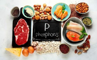Phosphorus in meat. Good or bad?